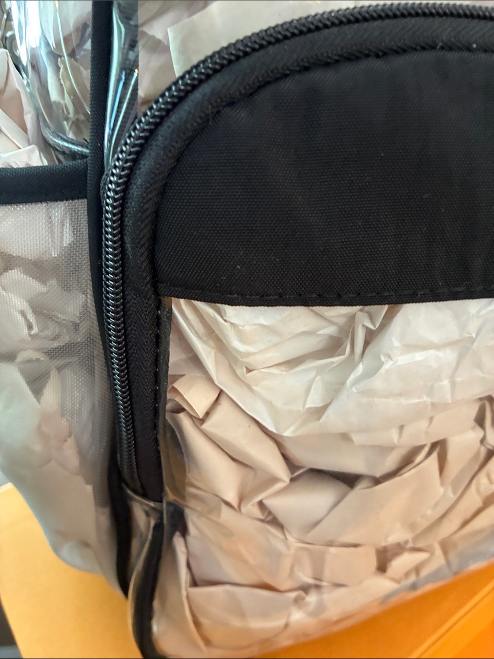 Baggallini Clear Backpack with Black Trim and Silver Accents - Picture 4 of 8